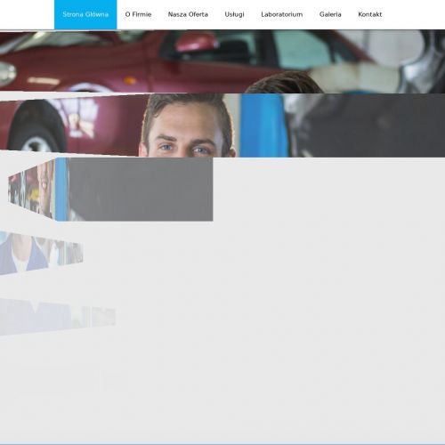 Naprawa pompowtryskiwaczy w Gdańsku