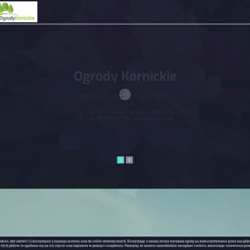 Drzewa alejowe - Poznań