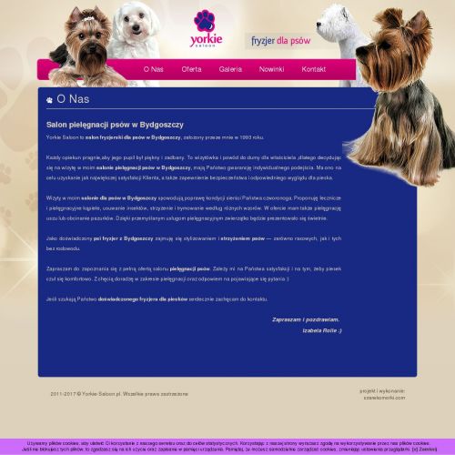 Fryzjer dla yorka - Bydgoszcz