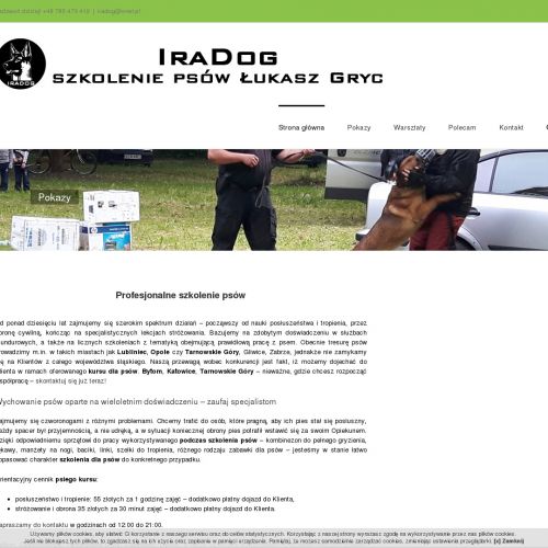 Częstochowa - wychowanie psów