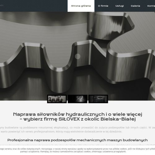 Regeneracja siłowników - Wadowice