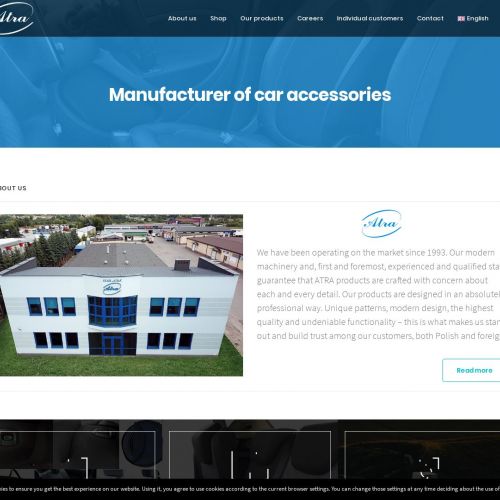 Mata samochodowa dla zwierząt