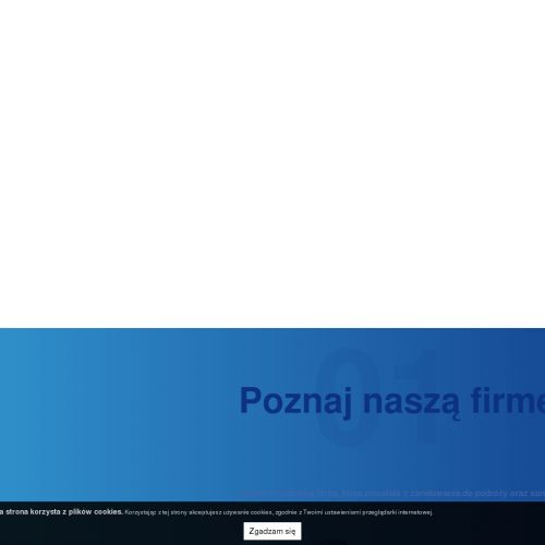 Katowice - volkswagen t6 california wynajem