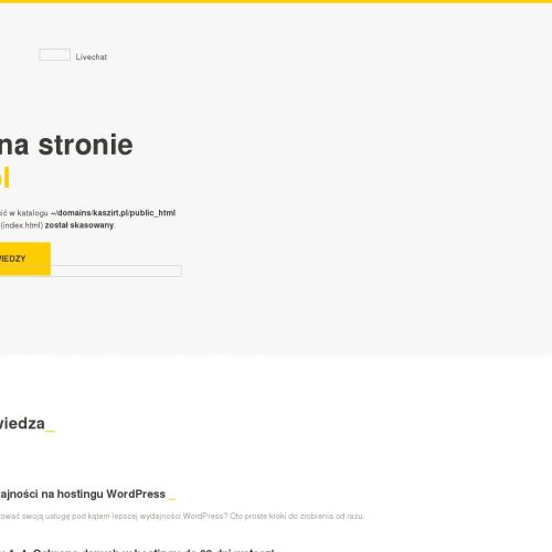 Kreator koszulek z nadrukiem