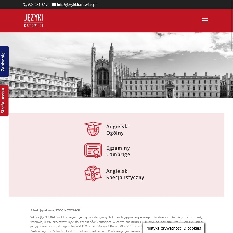 Katowice - test poziomujący angielski dla dzieci