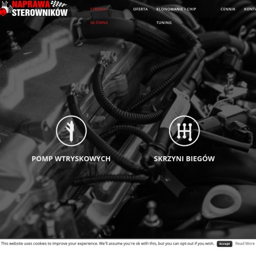 Sterownik pompy wtryskowej opel w Krakowie