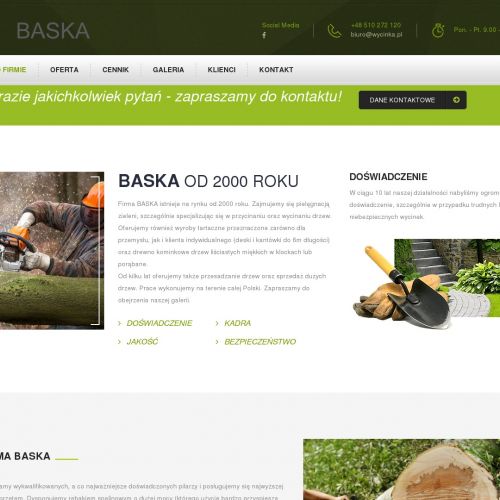 Frezowanie pni drzew - Zabrze