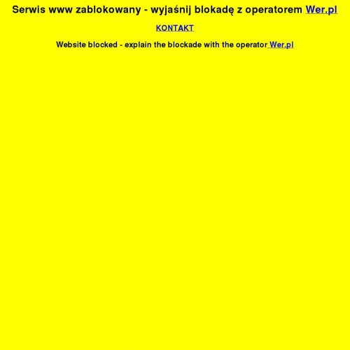 Model do sklejania dla dzieci w Poznaniu