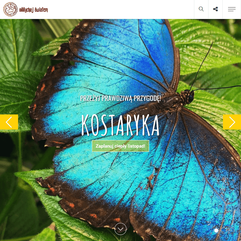 Zwiedzanie winnic w hiszpanii