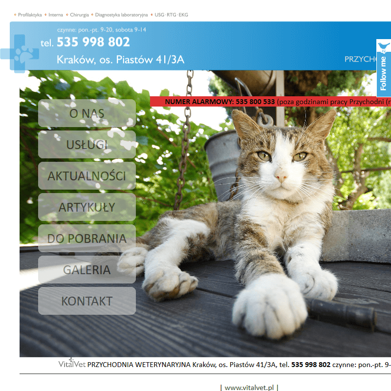 Skawina - cennik weterynaryjny